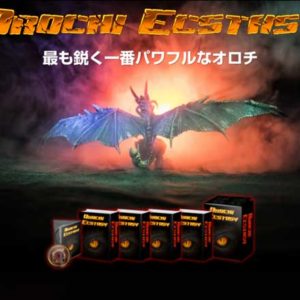 【大川慎吾】バーチャルマネー副業の再現性と即金性を曝露レビュー